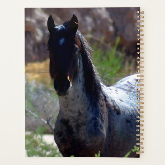 Wilde hengst in Utah Planner (Achterkant)