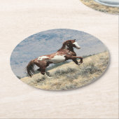 wilde hengst Onderzetter (Gebogen)