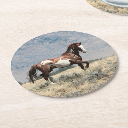 wilde hengst Onderzetter (Gebogen)