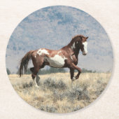 wilde hengst Onderzetter (Voorkant)