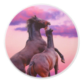 Wilde hengsten kweken keramische knop