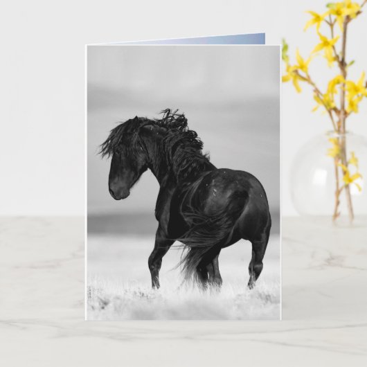 Wilde hengstenbochten - Wild Horse Wenskaart Kaart (Gele Bloem)