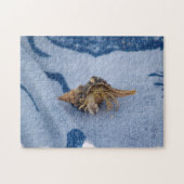 Wilde heremietkreeft in Shell Ocean Life Foto Legpuzzel (Horizontaal)