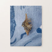 Wilde heremietkreeft in Shell Ocean Life Foto Legpuzzel (Verticaal)