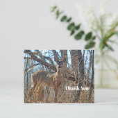 Wilde Herten Bos Foto Dank U Briefkaart (Staand voorkant)