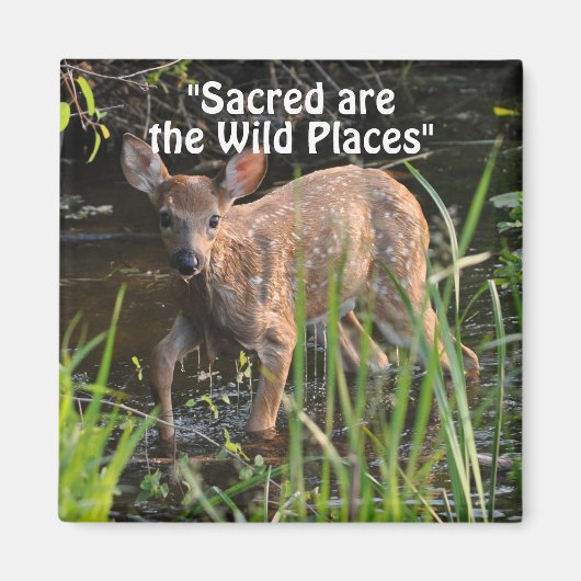 Wilde Herten Fawn Wilderness Gift Magnets Magneet (Voorkant)
