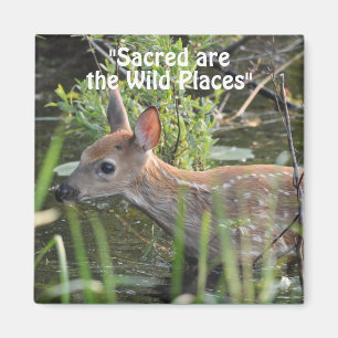 Wilde Herten Fawn Wilderness Gift Magnets Magneet