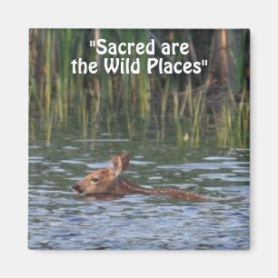 Wilde Herten Fawn Wilderness Gift Magnets Magneet