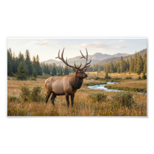 Wilde Herten In Schitterend Berglandschap Foto Ver Afdruk
