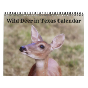 Wilde herten in Texas Kalender