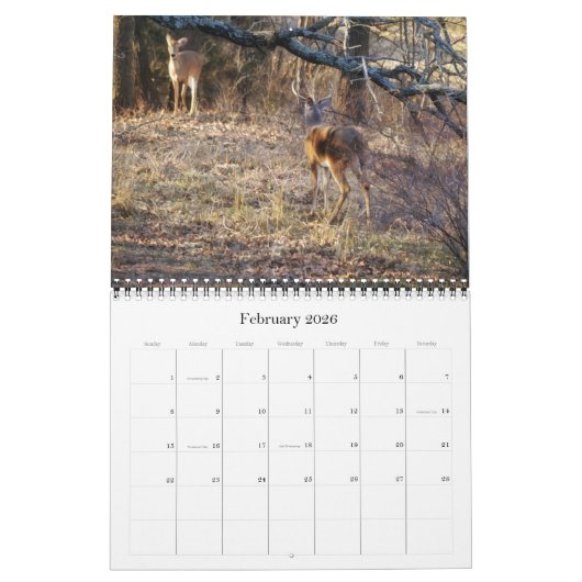 Wilde herten in Texas Kalender (Feb 2026)