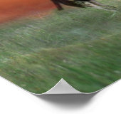 Wilde herten tegen zonsondergang poster (Hoek)