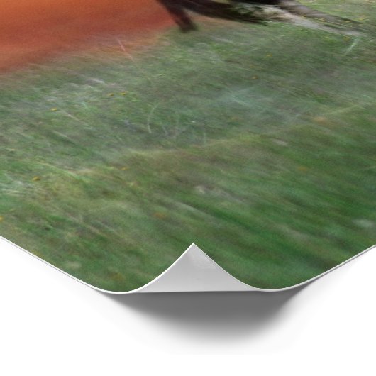 Wilde herten tegen zonsondergang poster (Hoek)