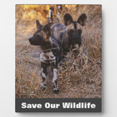 Wilde honden redden ons leven fotoplaat (Voorkant)