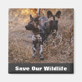 Wilde honden redden ons leven magneet (Voorkant)