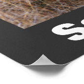 Wilde honden redden ons Poster in het wild (Hoek)