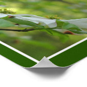 Wilde hondenbloesems Abstract Poster (Hoek)