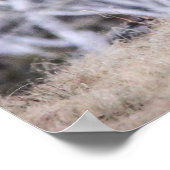 Wilde hondsdolheid poster (Hoek)