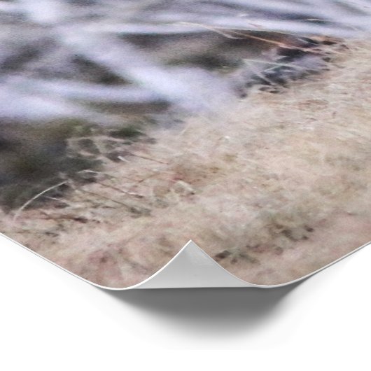 Wilde hondsdolheid poster (Hoek)