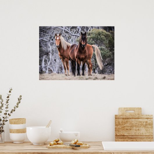 Wilde hondsdolheid poster (Keuken)