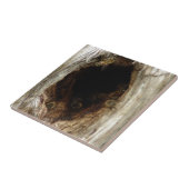 Wilde honingbijen in een holle boom tegeltje (Zijkant)