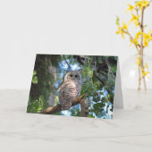 Wilde Hoot Owl Staring in het bos Kaart (Gele Bloem)