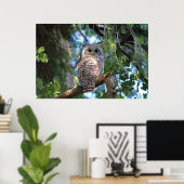 Wilde Hoot Owl Staring in het bos Poster (Thuiskantoor)