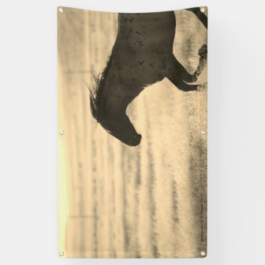 WILDE HOREN VAN DE UTAH BANNER MET GROMMET (Verticaal)