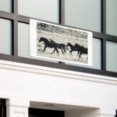 WILDE HOREN VAN DE UTAH BANNER MET GROMMETS (Buitenkant Gebouw)