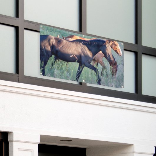 WILDE HOREN VAN UTAH Banner MET GROMMETS (Buitenkant Gebouw)