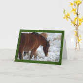 WILDE HOREN VAN UTAH IN HET WENSKAART SNEEUW KAART (Gele Bloem)