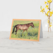 WILDE HOREN VAN UTAH OURAY NOTE CARD KAART (Gele Bloem)