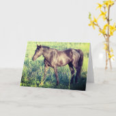 WILDE HOREN VAN UTAH OURAY NOTECARD KAART (Gele Bloem)