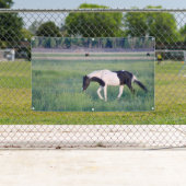 WILDE HOREN VAN UTAH PINTO Banner (Insitu)