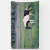 WILDE HOREN VAN UTAH PINTO Banner (Verticaal)