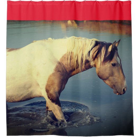 WILDE HOREN VAN UTAH PINTO IN WATER Shower Curtain Douchegordijn (Voorkant)