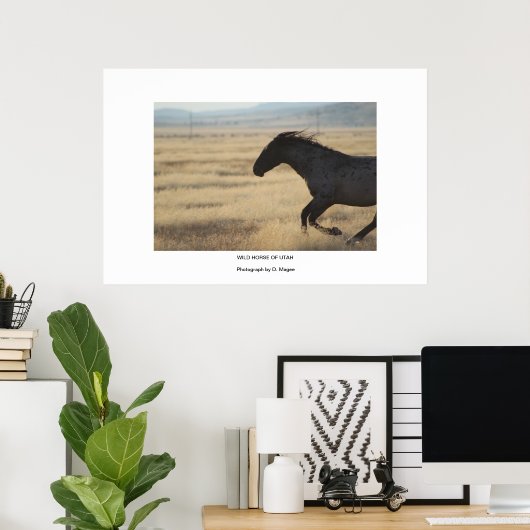 WILDE HORSE VAN HET UTAH FOTOGRAPH-POSTER POSTER (Thuiskantoor)