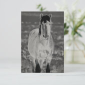 WILDE HORSE VAN UTAH VLOT Wenskaart Kaart (Staand voorkant)