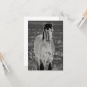 WILDE HORSE VAN UTAH VLOT Wenskaart Kaart (Voorkant / Achterkant in situ)