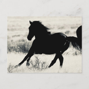 WILDE HORSE VAN UTAPAPIERPRODUCTEN BRIEFKAART