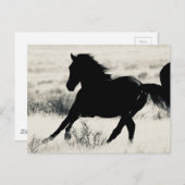 WILDE HORSE VAN UTAPAPIERPRODUCTEN BRIEFKAART (Voorkant / Achterkant)