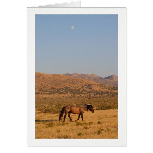 WILDE HORSE WALING MET NIEUWE MOON NOTECARD (Voorkant)