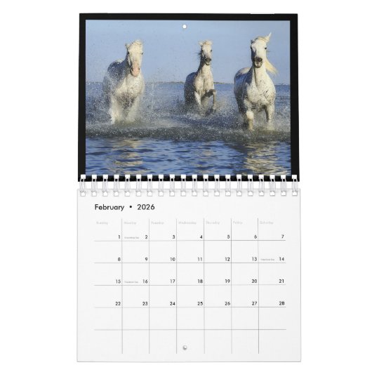 WILDE HORSES, DAGJAAR KALENDER (Feb 2026)