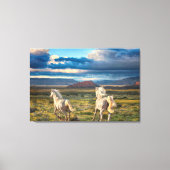 WILDE HORSES "Live to Run" - Canvasafdruk Canvas Afdruk (Voorkant)
