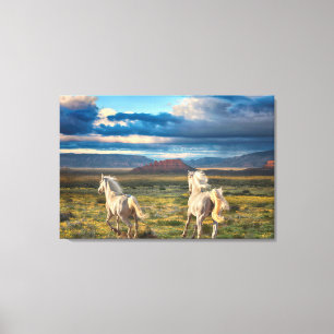 WILDE HORSES "Live to Run" - Canvasafdruk Canvas Afdruk