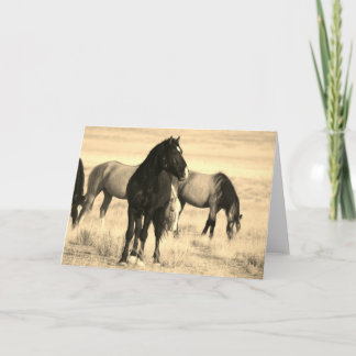 WILDE HORSES VAN UTAH Folded Wenskaart Kaart