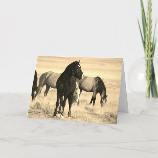 WILDE HORSES VAN UTAH Folded Wenskaart Kaart (Voorkant)