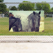 WILDE HORSES VAN UTAH ONAQUI GRAY BANNER (Insitu)