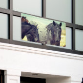 WILDE HORSES VAN UTAH ONAQUI GRAY BANNER (Buitenkant Gebouw)