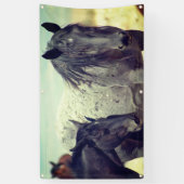 WILDE HORSES VAN UTAH ONAQUI GRAY BANNER (Verticaal)